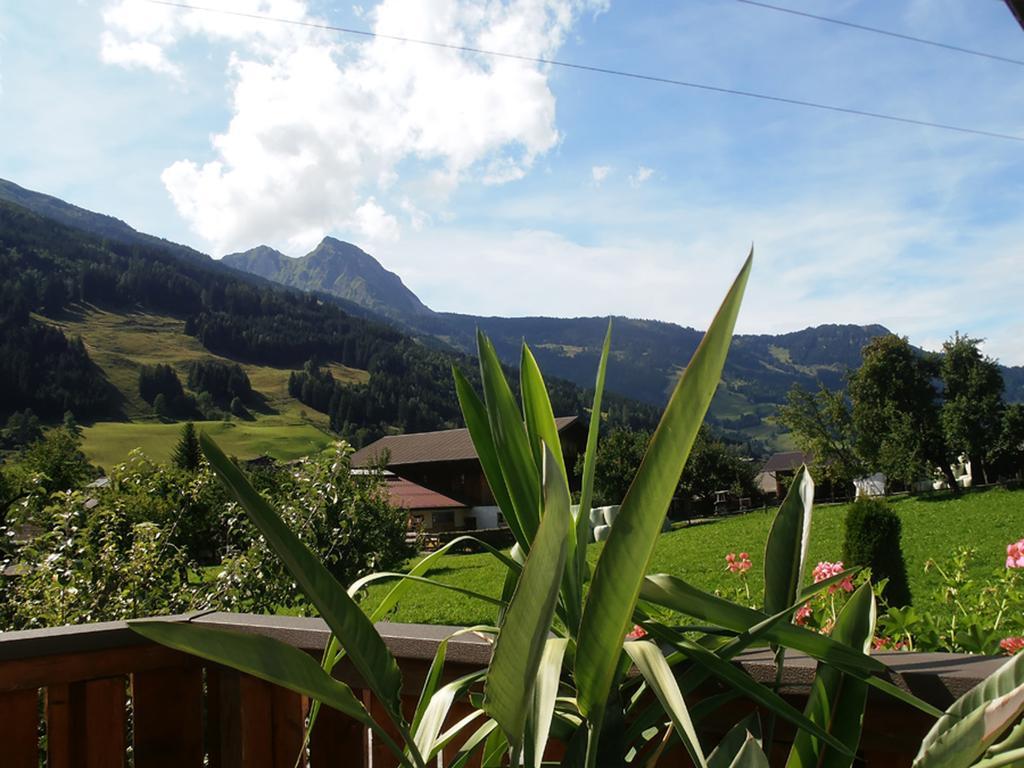 Landhaus Johanna Dorfgastein Exterior photo
